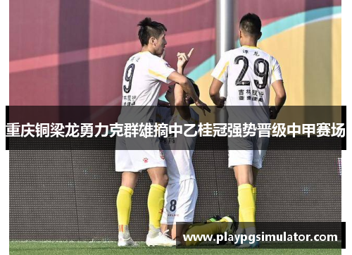 重庆铜梁龙勇力克群雄摘中乙桂冠强势晋级中甲赛场 重庆铜梁龙勇力克群雄摘中乙桂冠强势晋级中甲赛场