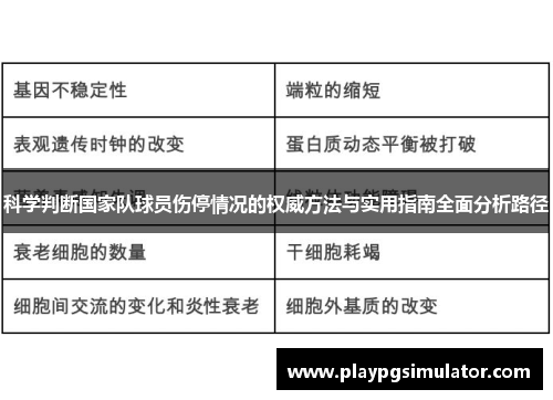 科学判断国家队球员伤停情况的权威方法与实用指南全面分析路径