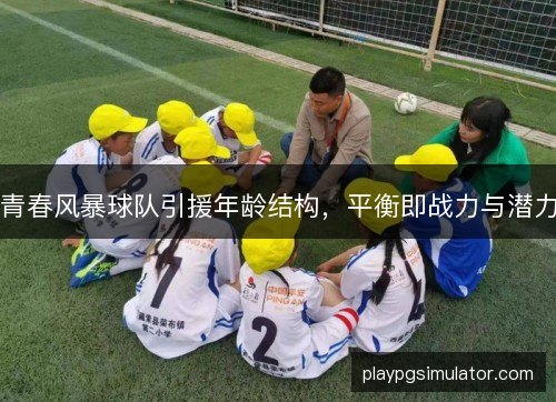 青春风暴球队引援年龄结构，平衡即战力与潜力